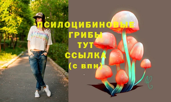 таблы Алзамай