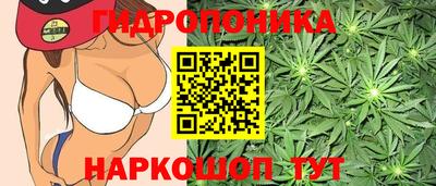 тгк Кандалакша
