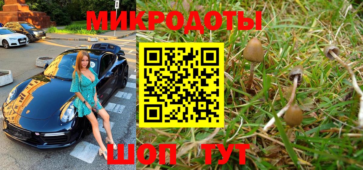 Галлюциногенные грибы мицелий  Псилоцибиновые грибы Psilocybine cubensis  Шебекино  купить наркотики сайты  Вход с VPN 
