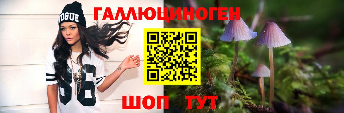 Галлюциногенные грибы Cubensis Шебекино
